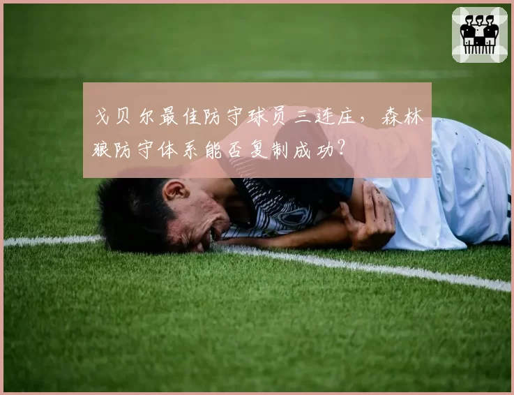 戈贝尔最佳防守球员三连庄，森林狼防守体系能否复制成功？