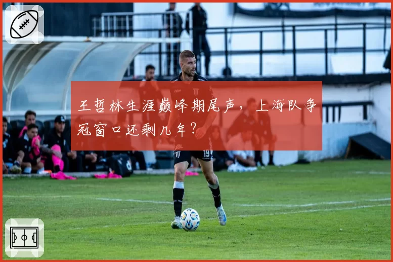 王哲林生涯巅峰期尾声，上海队争冠窗口还剩几年？